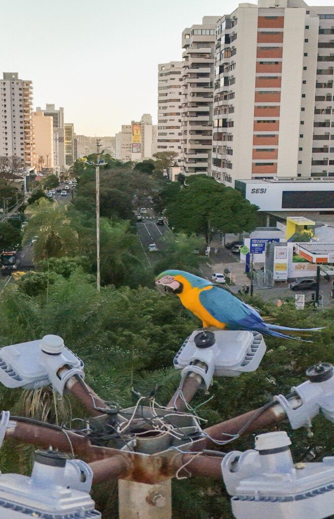 Campo Grande recebe fórum sobre turismo e conservação ambiental