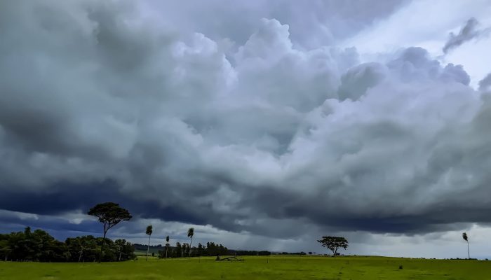 CHUVA