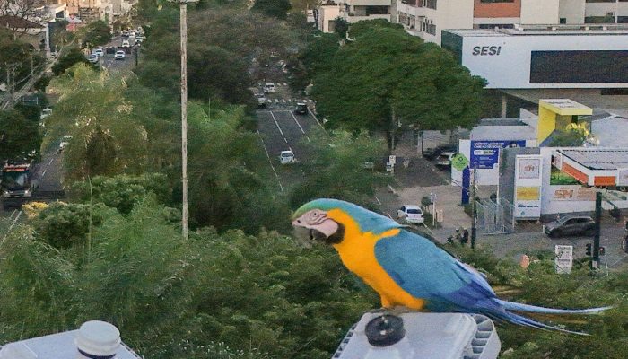 Campo Grande recebe fórum sobre turismo e conservação ambiental